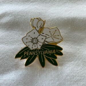 Vintage Pennsylvania Mountain Laurel pin/brooch. 1.25”Enamel white, green.